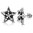 Stainless Steel 2-Tone Flower Star Biker Stud Earrings (Pair)